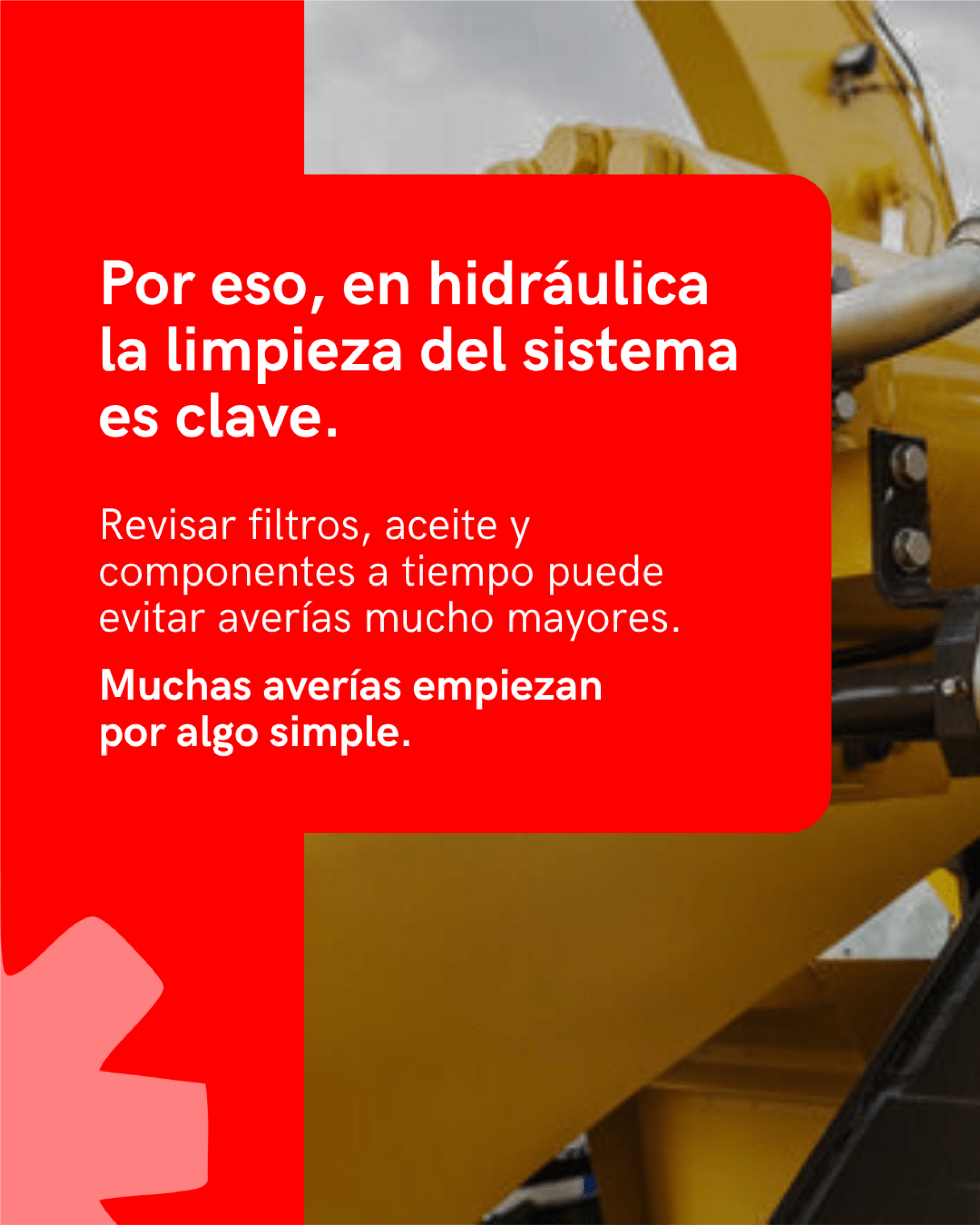 Diseño digital de Aliauto