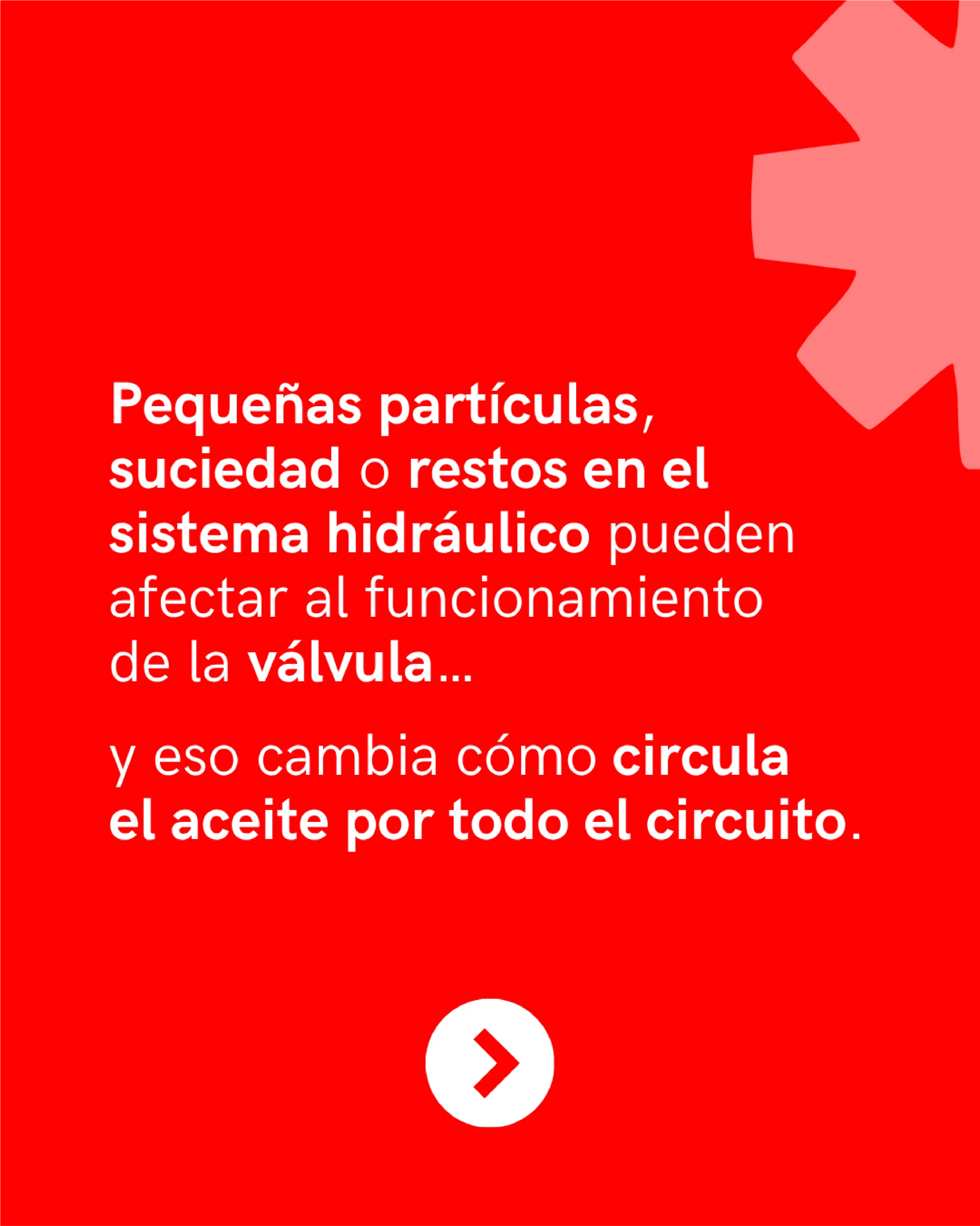 Contenido digital de Aliauto