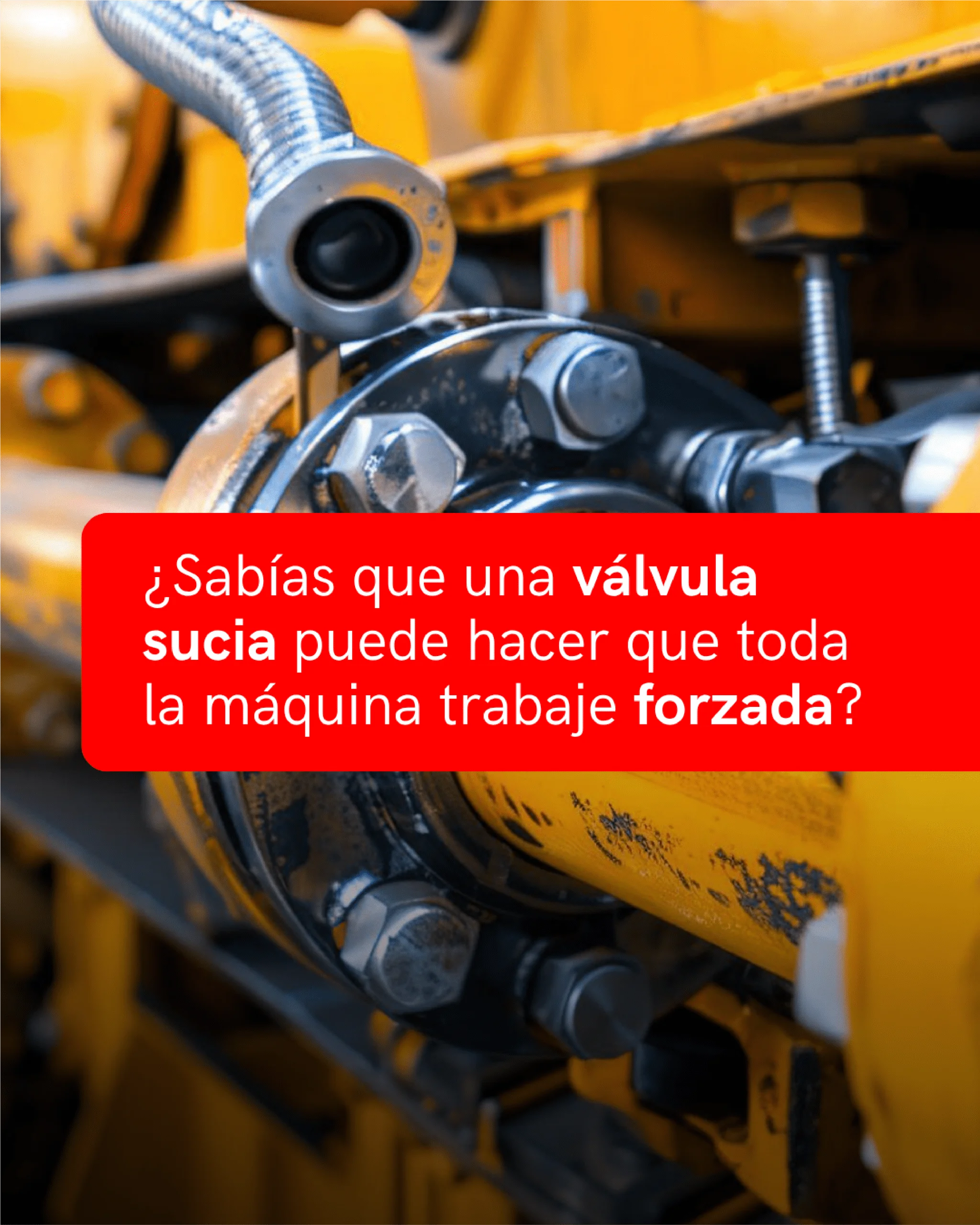 Proyecto digital de Aliauto